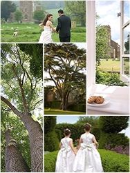 Thumbnail image for Is it possible to get married in my back garden?