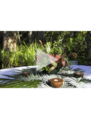 Thumbnail image for Rainforest Wedding : Unusual wedding venue location video