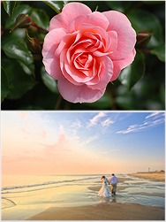 Thumbnail image for Fun Wedding Themes